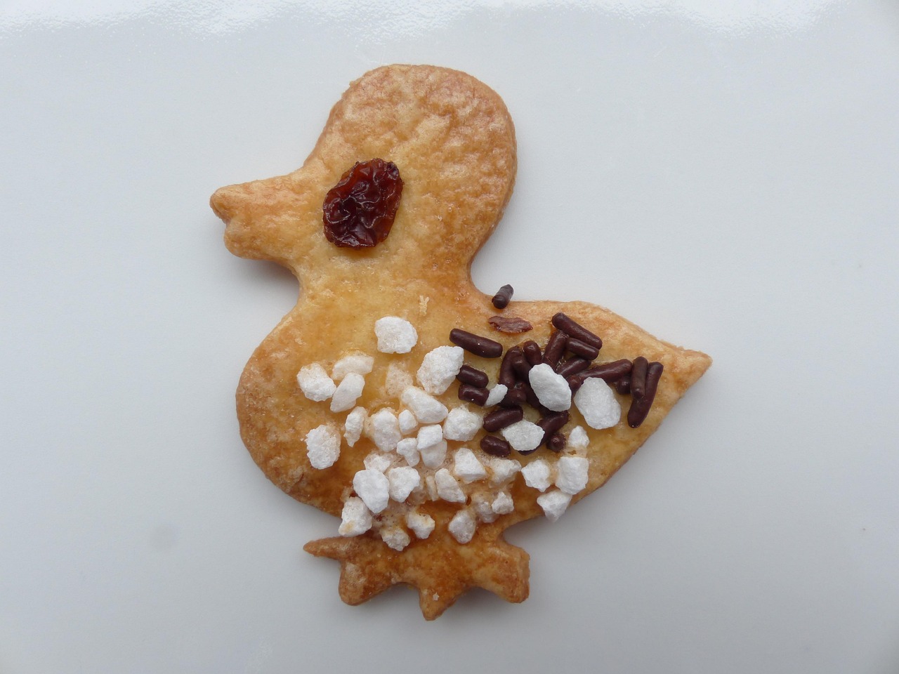Pettirosso infreddolito su un balcone con biscotti sbriciolati accanto a lui.