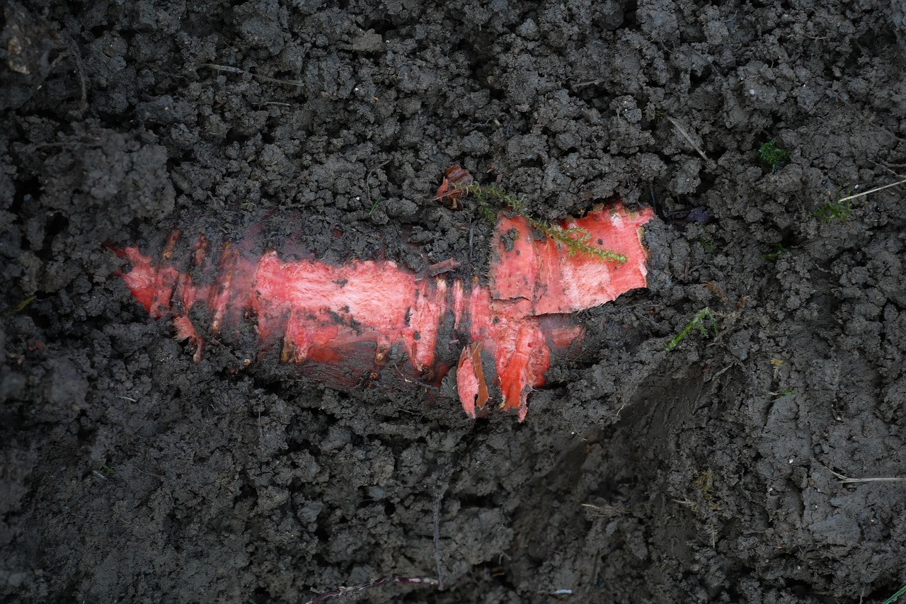 Immagine di un sacco di concime "sangue di bue" in un giardino, con piante verdi sullo sfondo.
