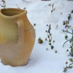 Cenere di camino versata in un orto, simbolo di fertilità e sostenibilità per le piante.