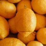 Limone con foglie gialle e accartocciate, segnale di malessere della pianta.