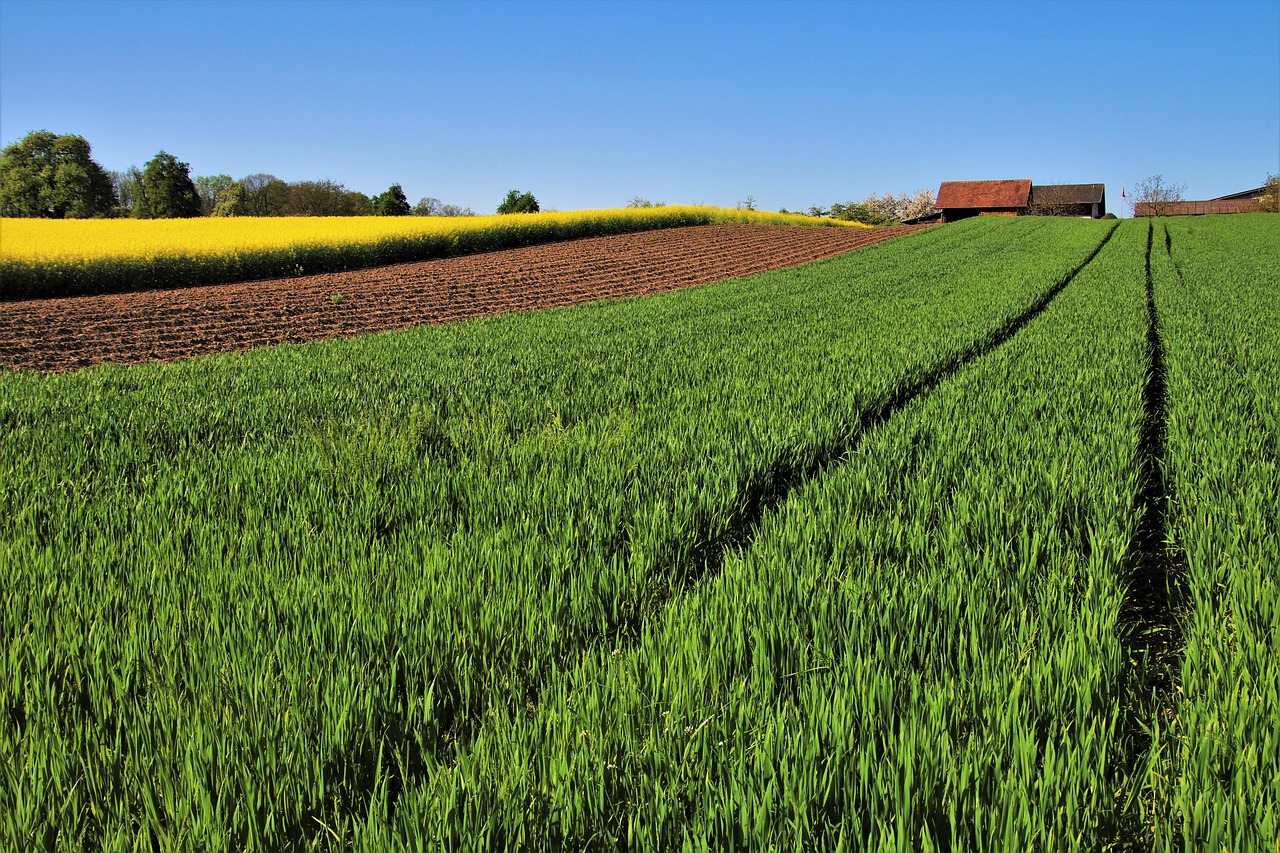 Terreno agricolo con cartelloni informativi su valutazione e cambiamenti del mercato.