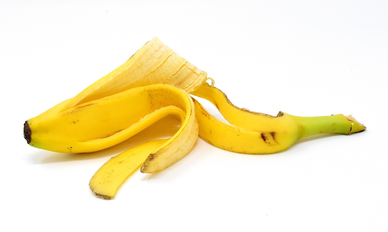 Buccia di banana interrata nel terreno, simbolo del trucco per nutrire le rose con potassio.